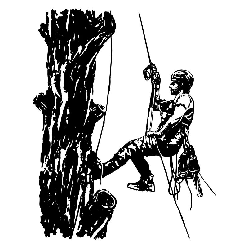 Arborist Baumkletterer an Eiche (Monochrome)