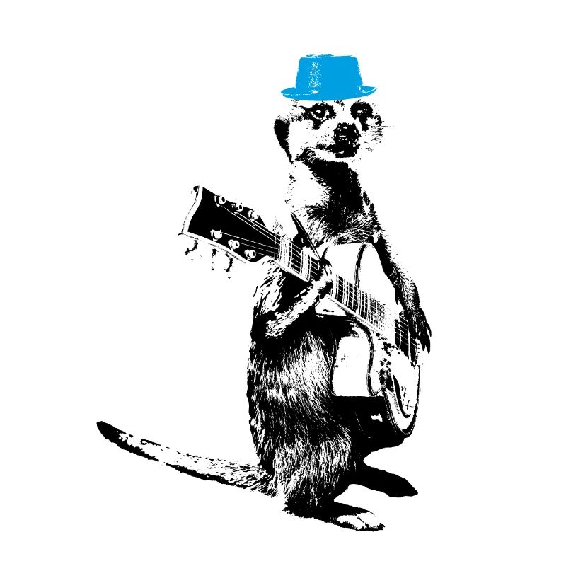 Suricate Guitariste White BG Cyan Hat