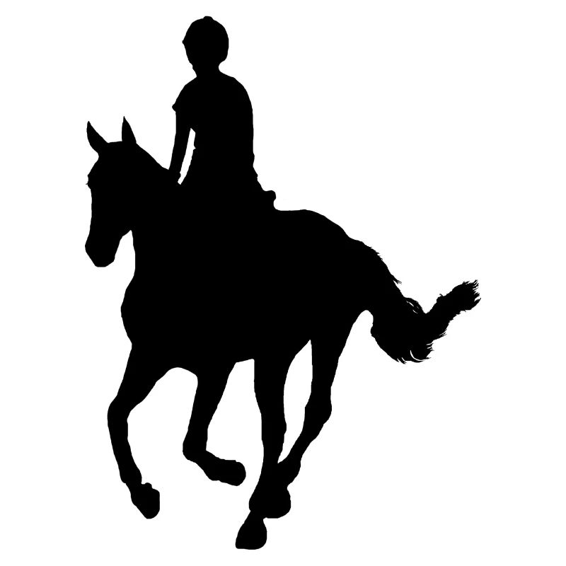 Reiter auf Pferd
