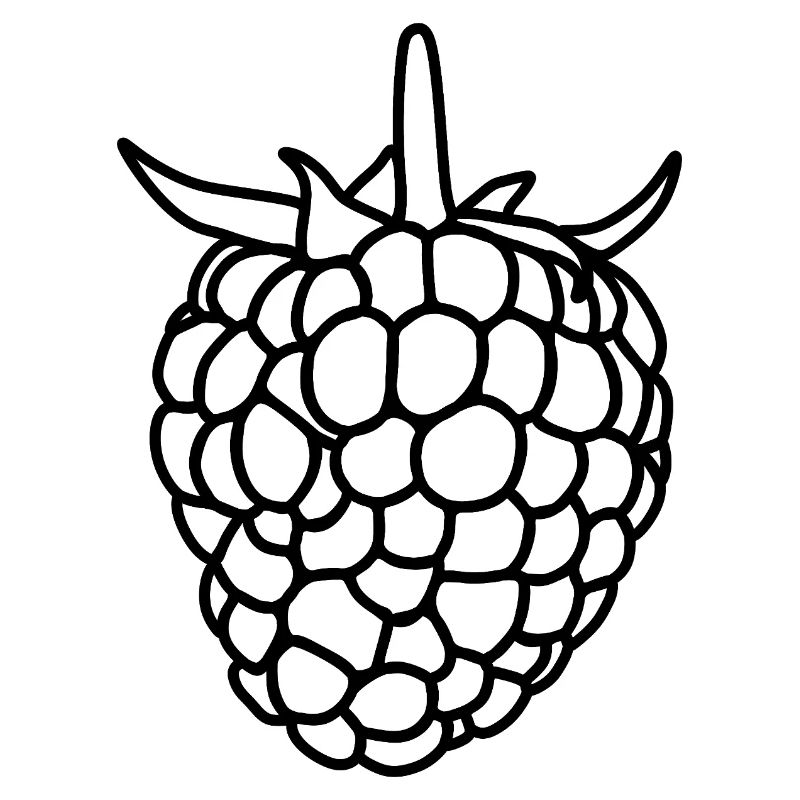 Raspberry Silhouette