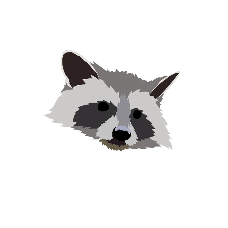 Racoon
