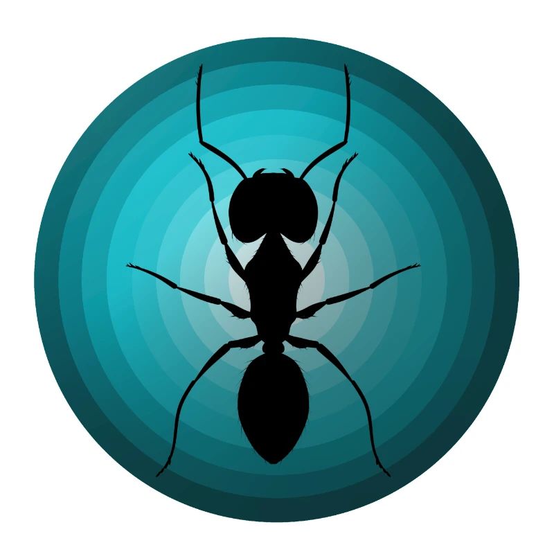 Fourmis
