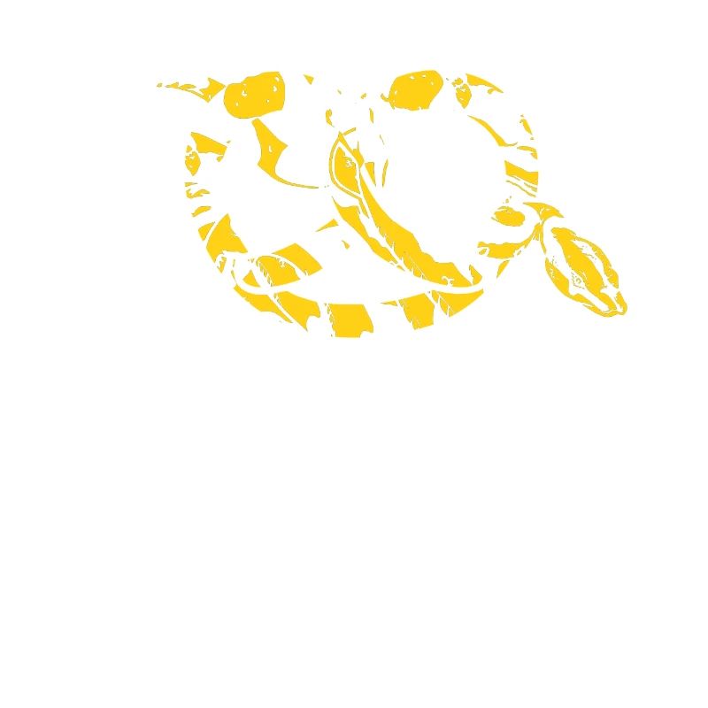 King python design pour les amateurs de serpents