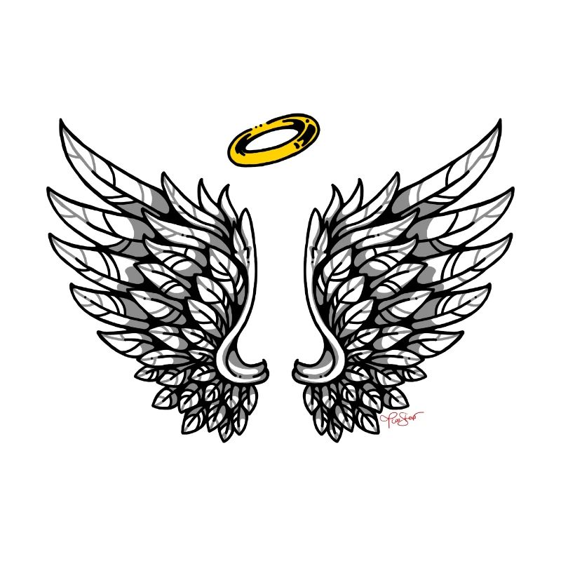 Ailes Ange Ailes Anges