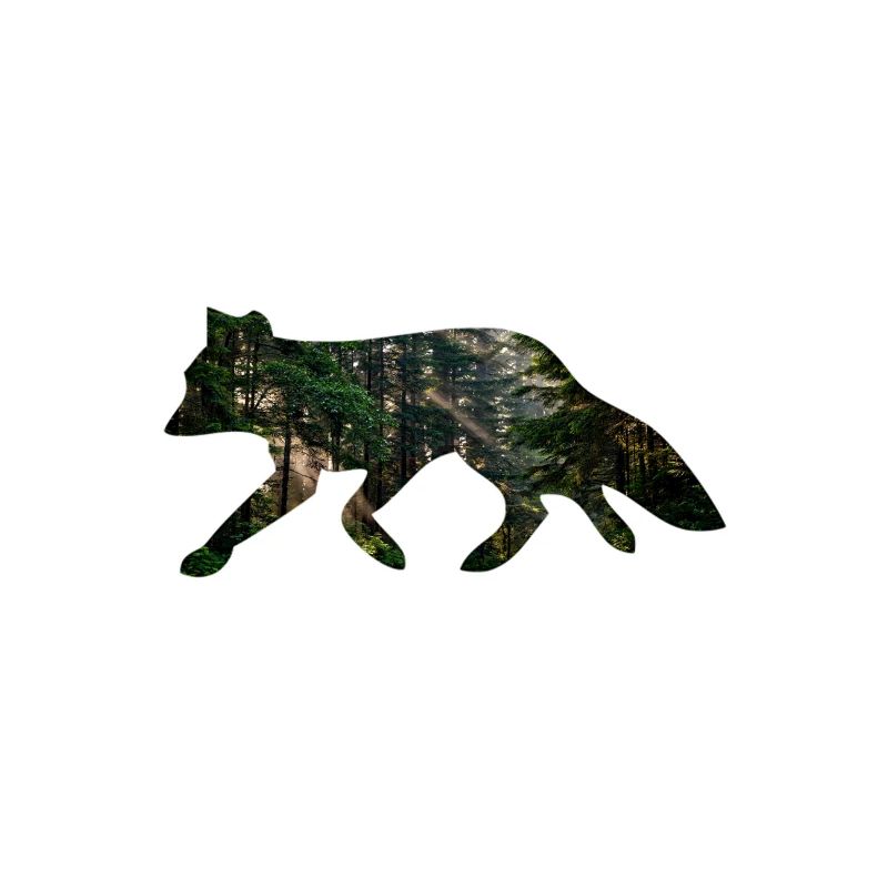 Fuchs Wald