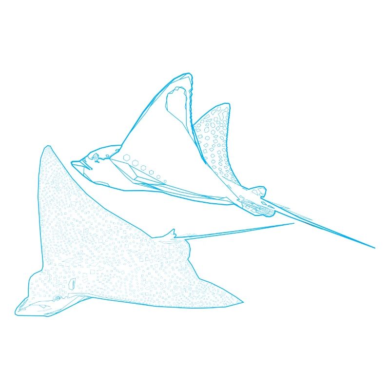 Rochen Pärchen
