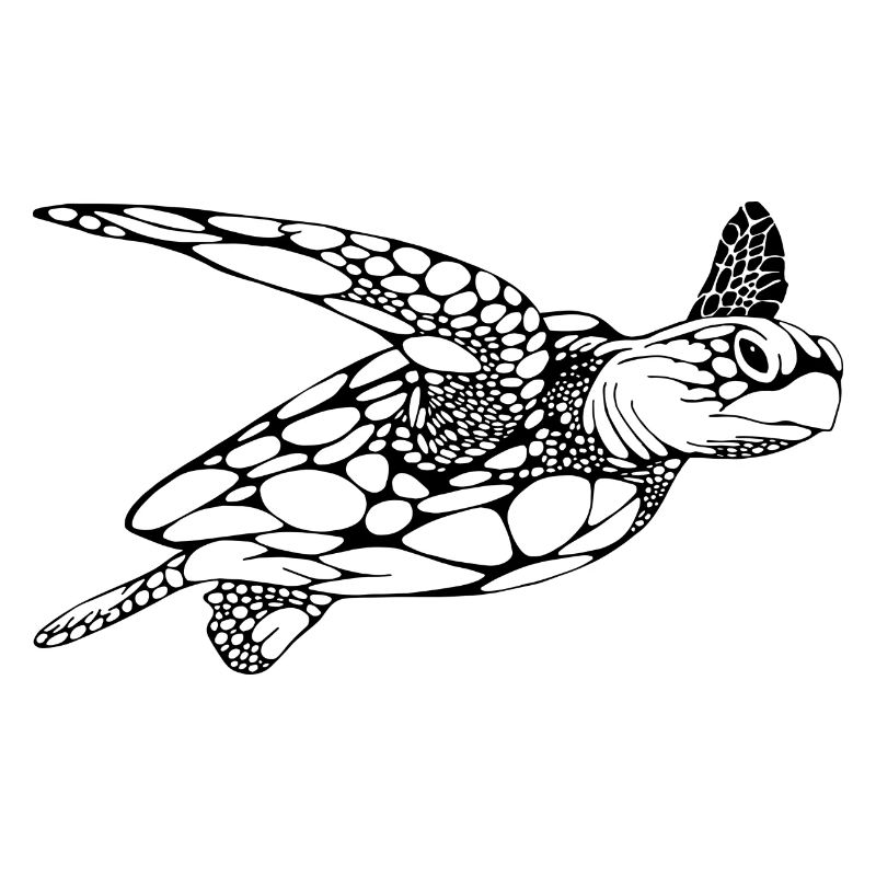 Turtle divers diving gift idea