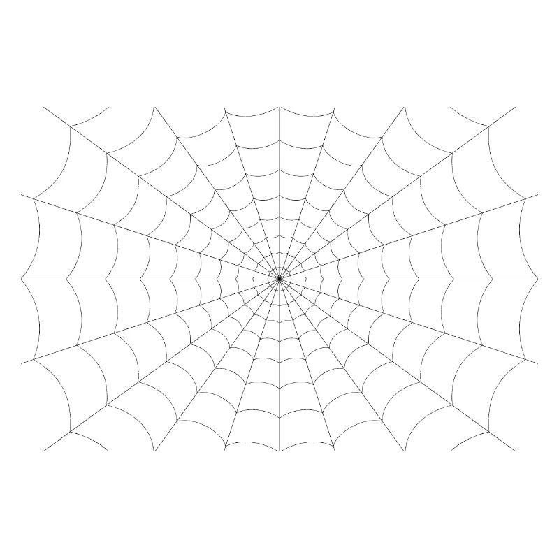 Spinnennetz