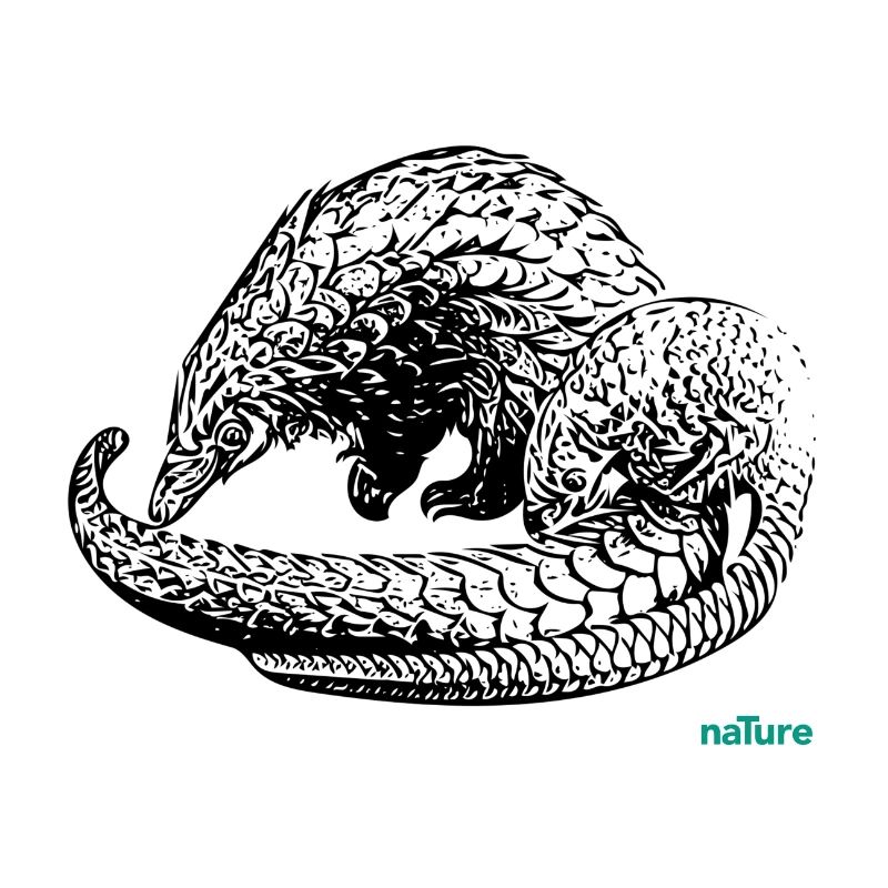 pangolin