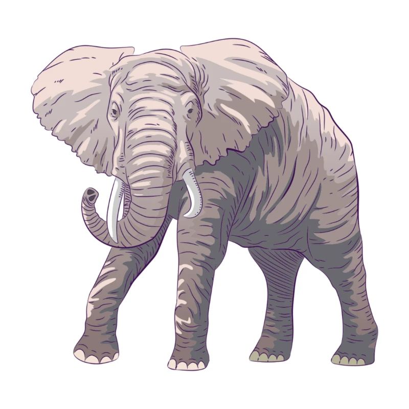 Elefant
