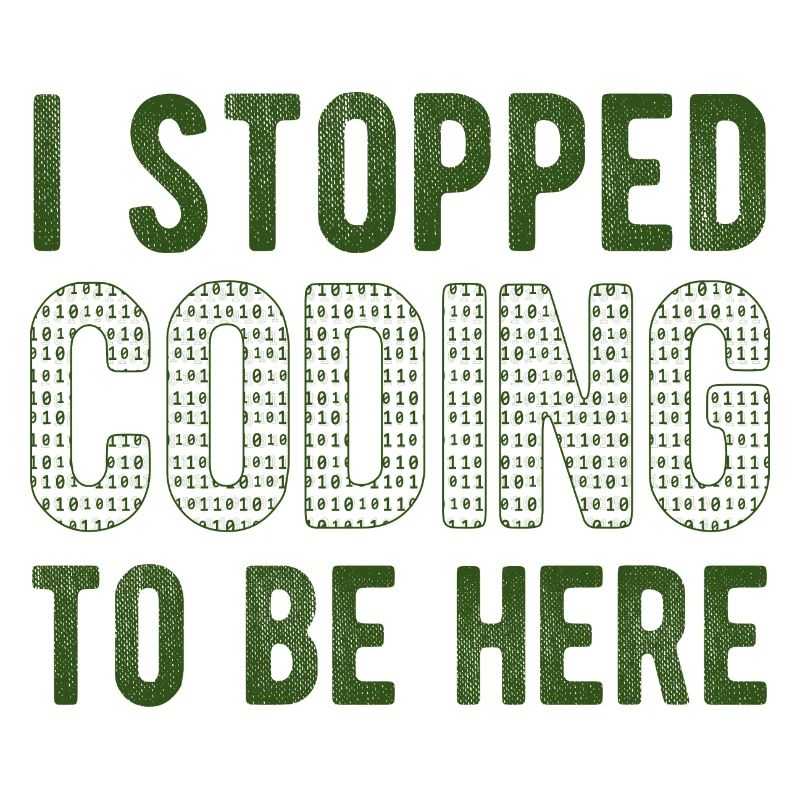 Software Ingenieur Informatiker Programmierer