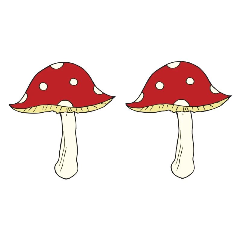 Fly agaric double