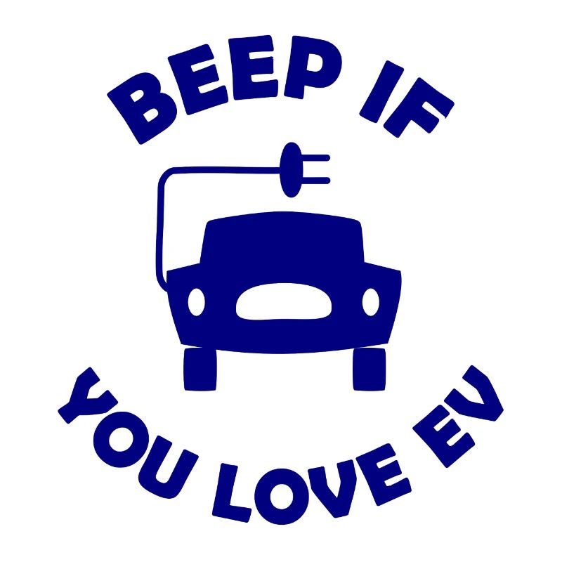 Die E Auto Fans