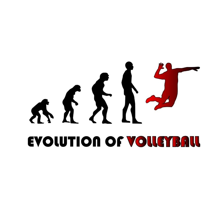 Évolution du volleyball