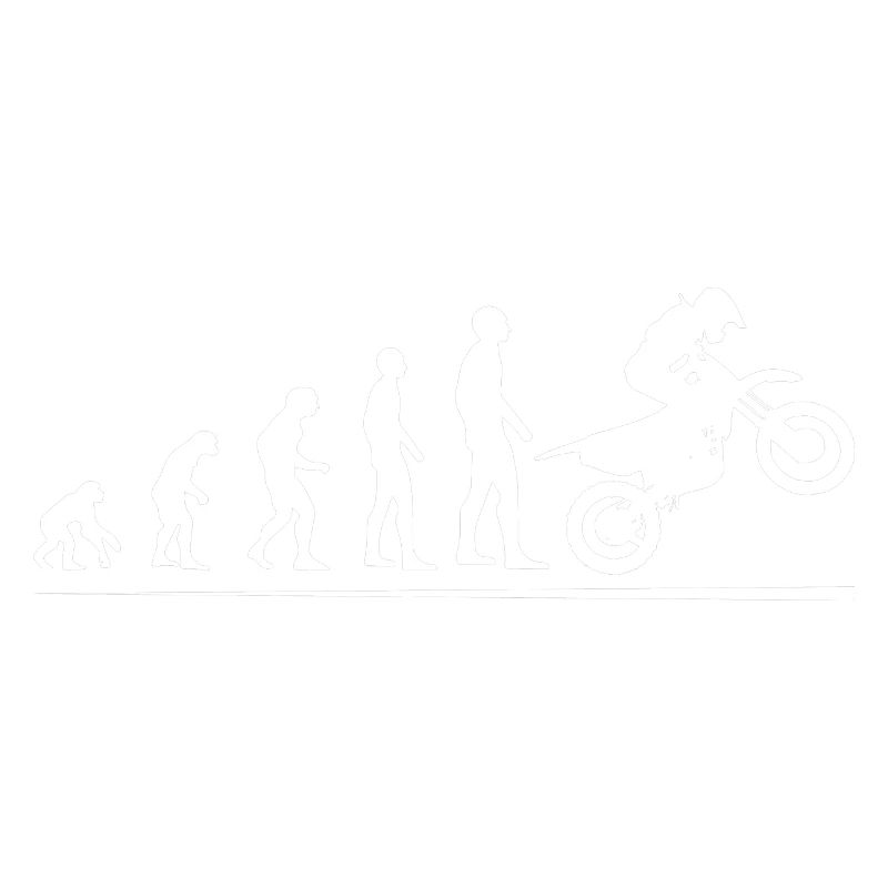 Motocross Evolution white