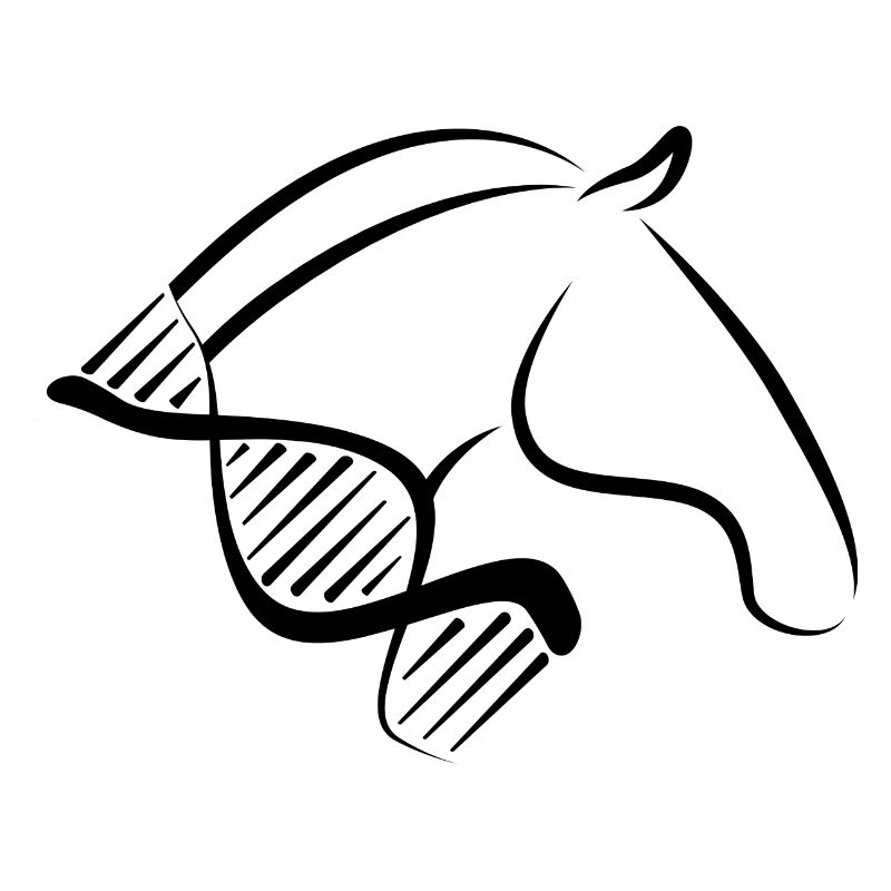 Cavalière Perd ADN Design