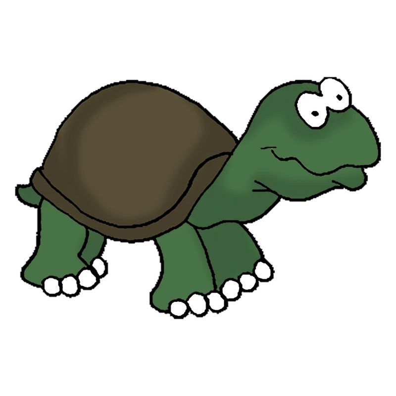 Tortue 1