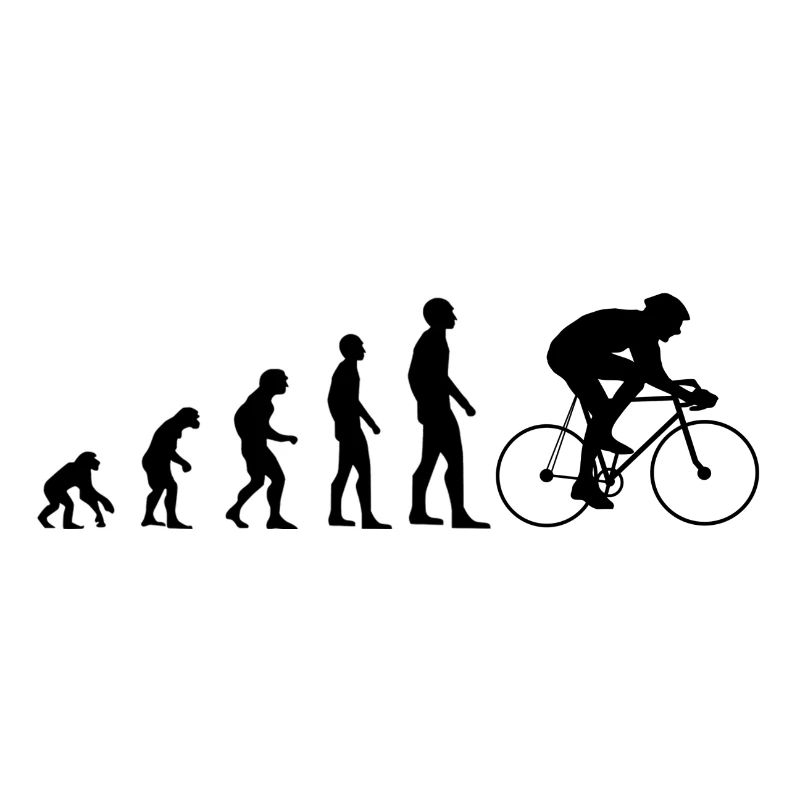 Evolution Rennrad
