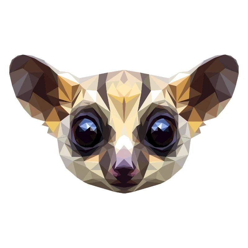 Galago Buisson Bébé Singe Galagos Singe Mignon Galago