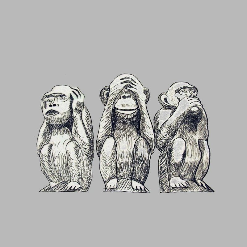 monkey