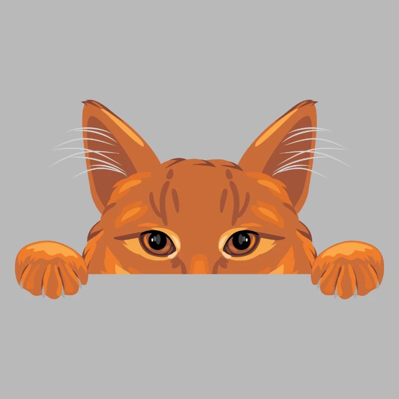 Chat au gingembre