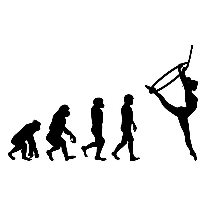 Luft Reifen Lyra Seide Zirkus Akrobatik Evolution