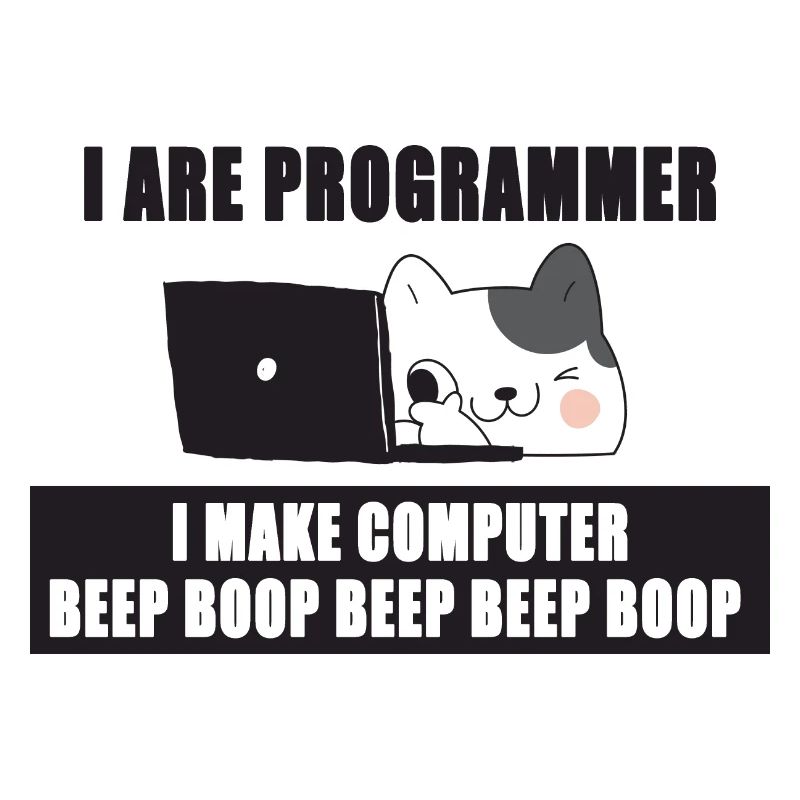 I are programmer
