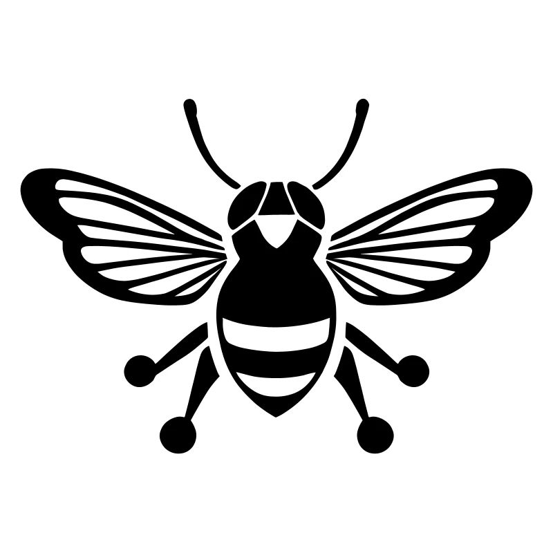 Cicada
