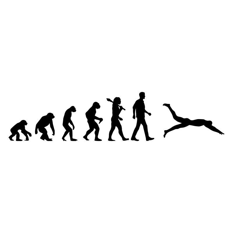 Schwimmer Evolution