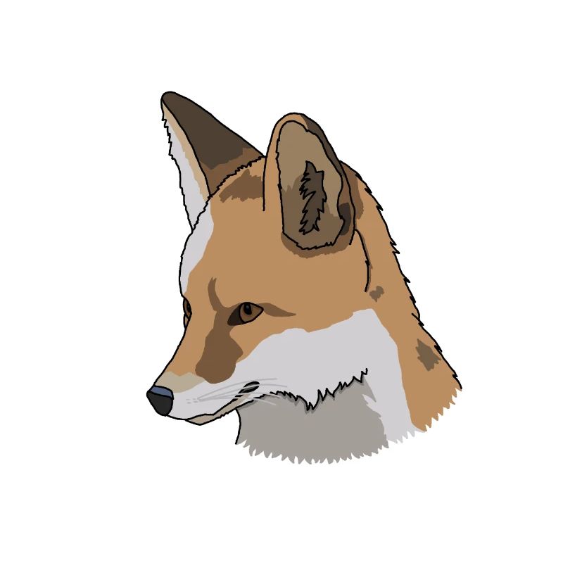 Fox, drawing, gift idea
