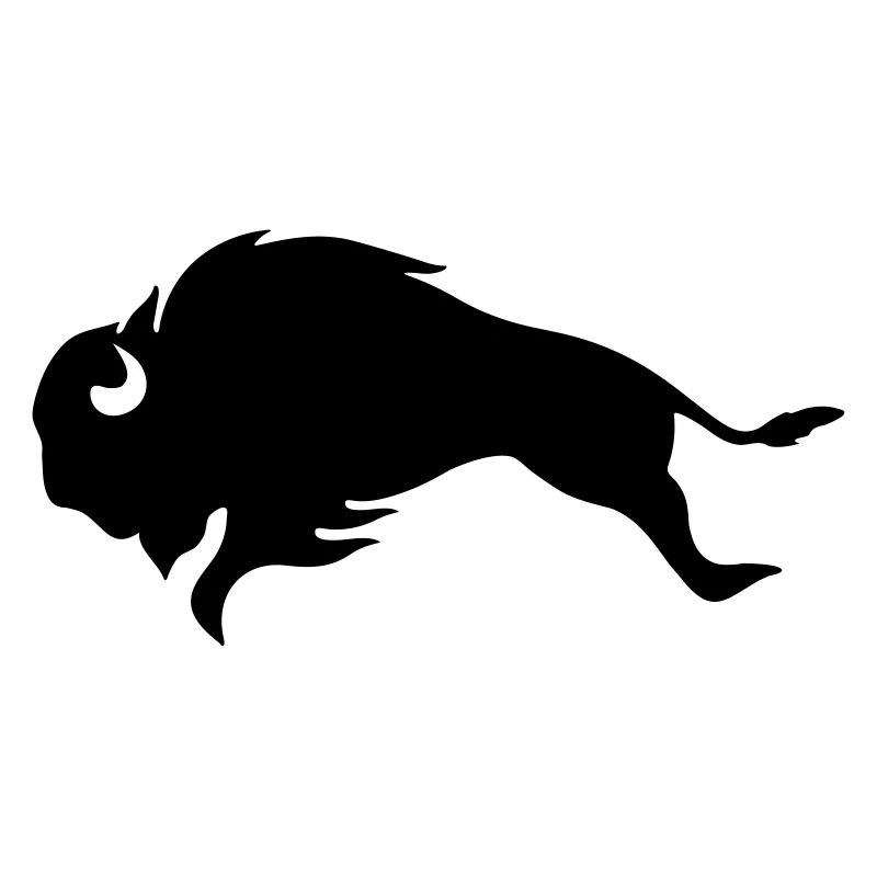 BISON BULL Bufallo