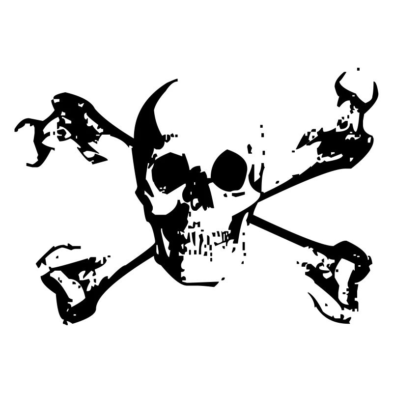 Skull Bone Skull Skeleton Skull