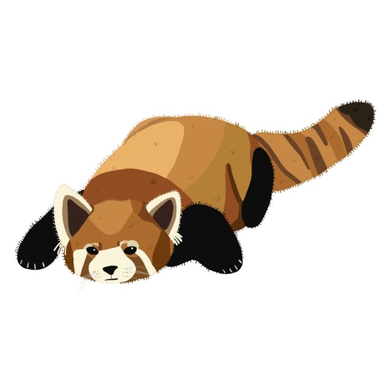 Panda Roux