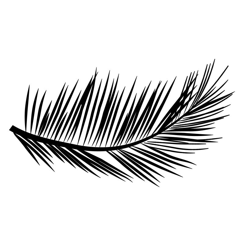 Palm leaf holiday gift idea