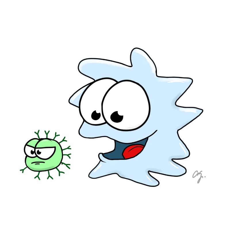 Immunologie