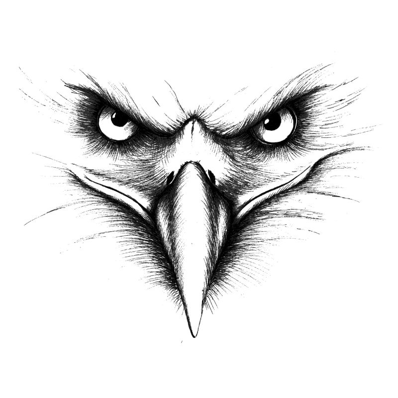 Eagle Face by DrawPatterns