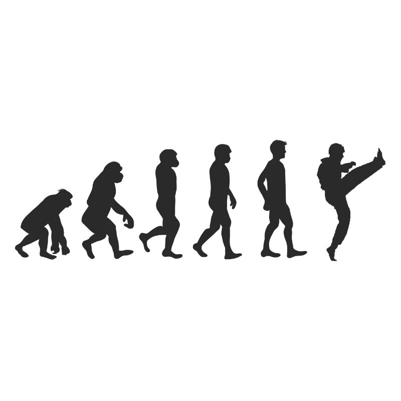 Evolution Karate