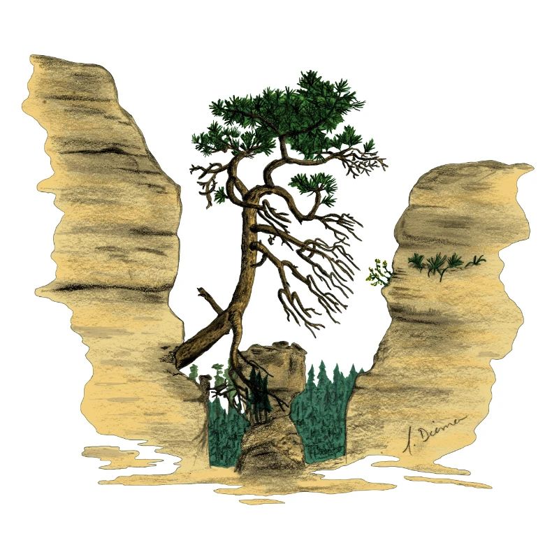 Montagnes de grès de l’Elbe