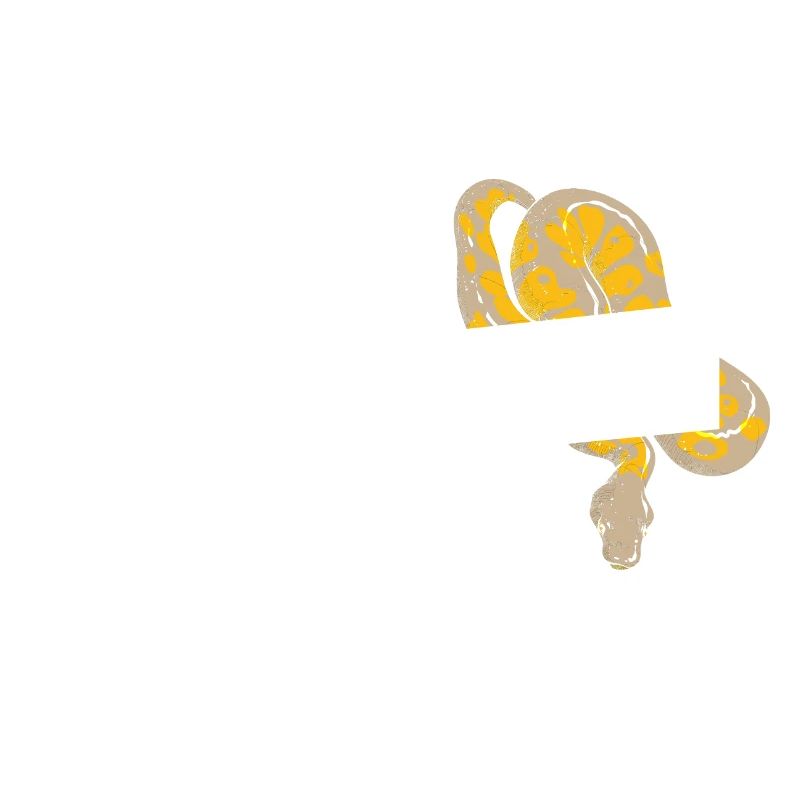 King python design pour les amateurs de serpents