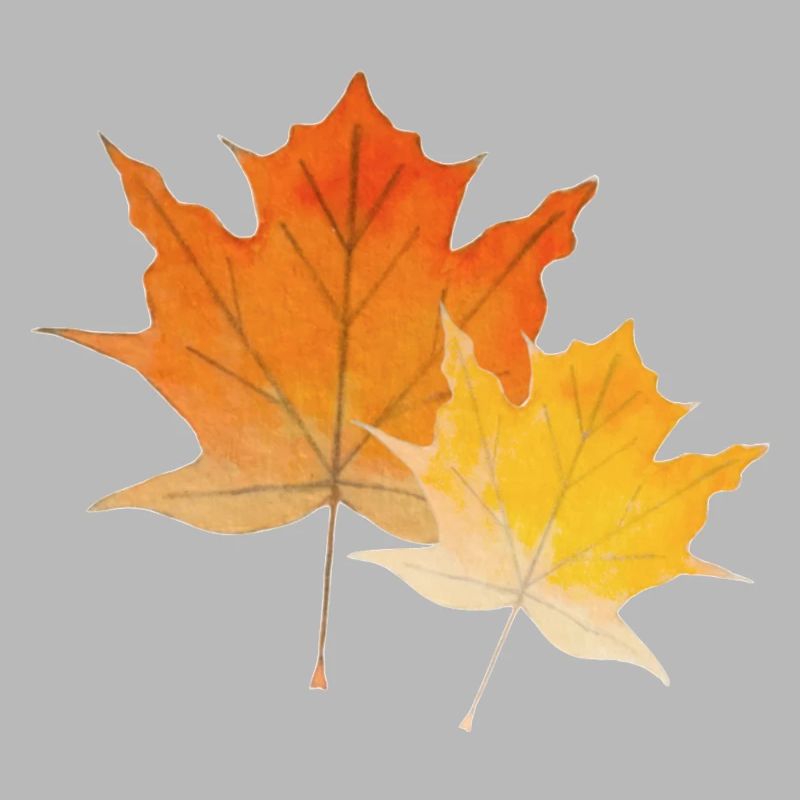 Feuilles d'érable