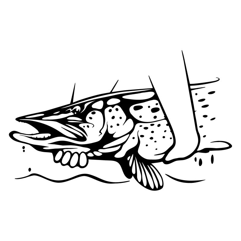 Pêche au brochet