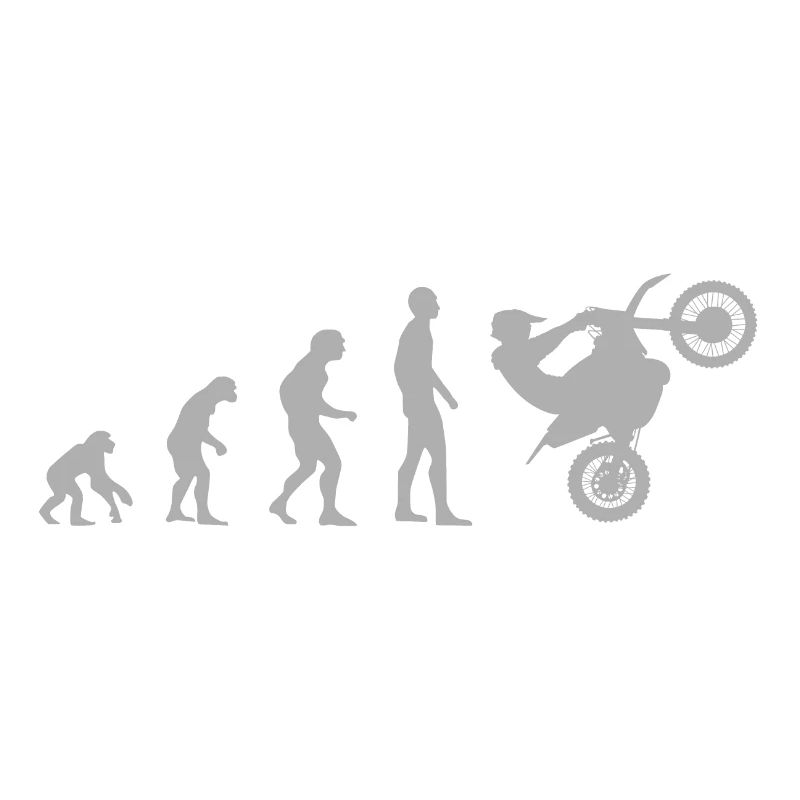Dirtbike Evolution Clean Gray
