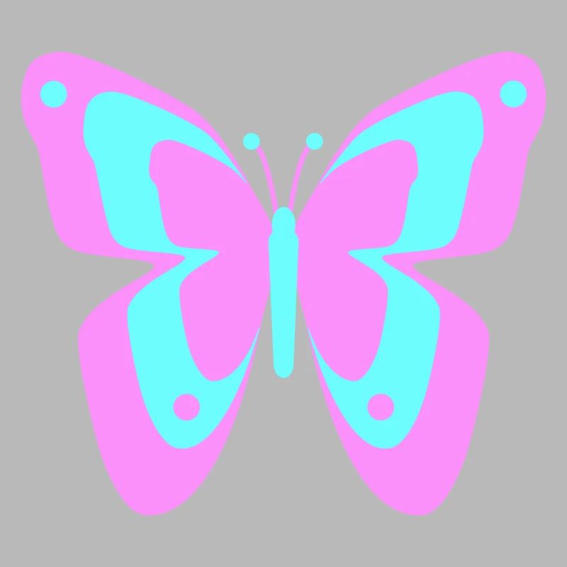 Butterfly Butterfly Insects Spring Summer colorful