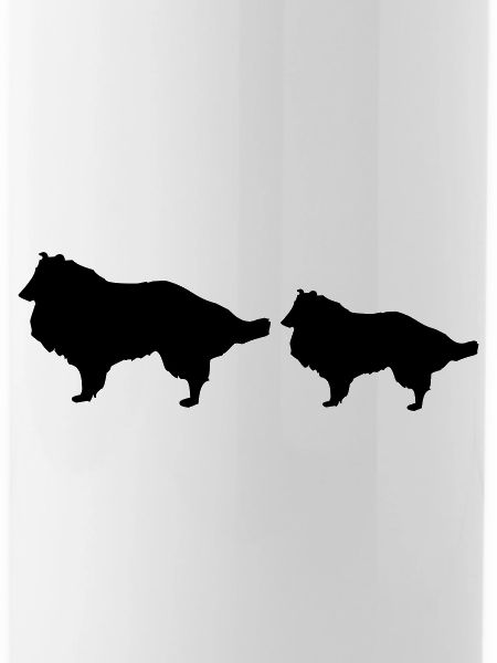 Canine