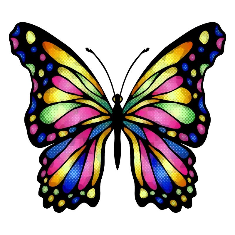 Papillon