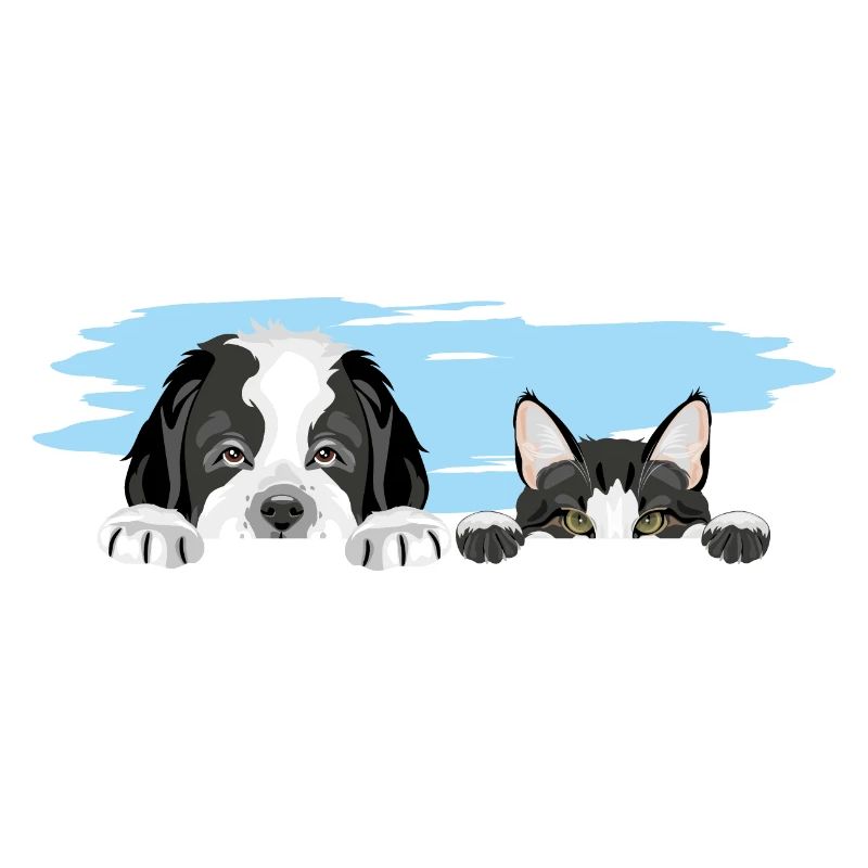 Peeking Saint Bernard chiot chien et chat mignon