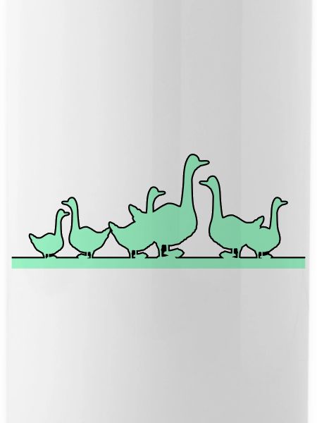 Ducks Geese