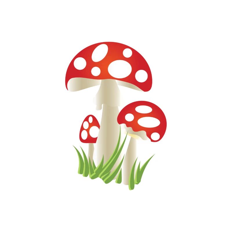 Champignon rouge
