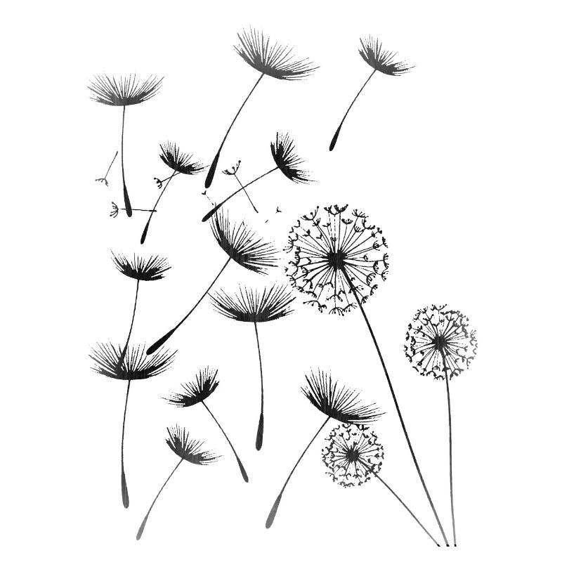 Pusteblume