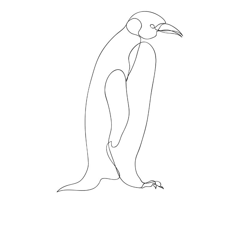 Penguin Drawing